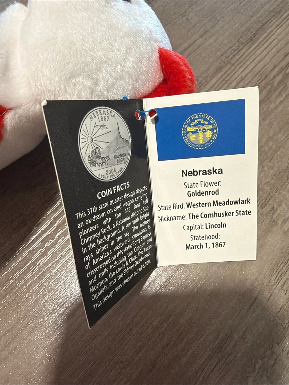 Nebraska Red & White Plush Bear - Collegiate Stuffed Animal